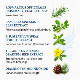 3PCS Rosemary Oil Dense Hair Essential Roller For Damaged Hair Care Treatment Smoothing Shiny Soften Hair Scalp Massage Serum
