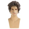 Dsimeig Men's Wig Mix Brown Short Wave Layered Synthetic Cosplay