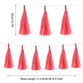 MECCANIXITY 30Pcs Light Red Tassel Garland Banner with Rope Tissue Paper Tassels Party DIY Kits for Anniversary Wedding Birthday Party