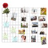Kakivan Wire Wall Grid Panel for Photo Display, DIY White