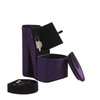 ORE International HBB1836 Iridescent High Heel Shoe Hidden Jewelry Box,