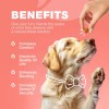 CHEWIA Natural Dog Flea and Tick Prevention Chews for All
