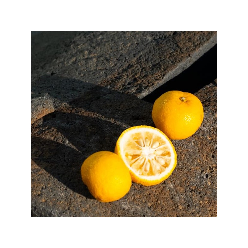 SHIRO ゆずフェイスミスト 120mL