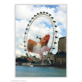 Hamster Postcard