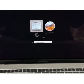 32GB MacOS High Sierra 10.13.6 (Latest Version), Bootable USB Drive 3.0,Full Install Mac OS X