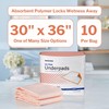 McKesson Underpads Disposable Bed Pads 30" x 36" [100 Count],