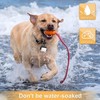 Dog Lights for Night Walking, Clip on Dog Collar Light