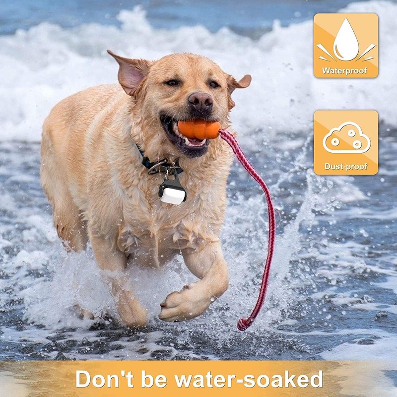 Dog Lights for Night Walking, Clip on Dog Collar Light