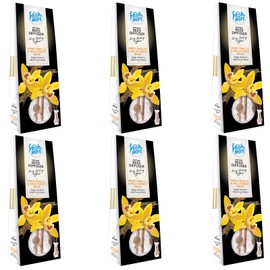 fresh& more Lufterfrischer Duftvasen 35 ml 6er Pack (Magic Vanille&Wild Forest Wood)