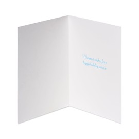 Papyrus Holiday Cards Boxed with Envelopes, Warmest Wishes, Snowflakes (14-Count)