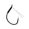 ダイワ(DAIWA) BワームフックSS・G・WKY#1/0 892728