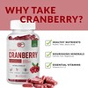 VitaHuma Organic Cranberry Extract Capsules, 800 MG Per Serving, Whole