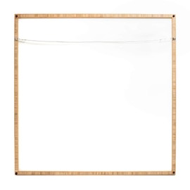 Deny Designs Jennifer Hill, Mister Xiphias, Framed Wall Art, Large, 30" x 30"