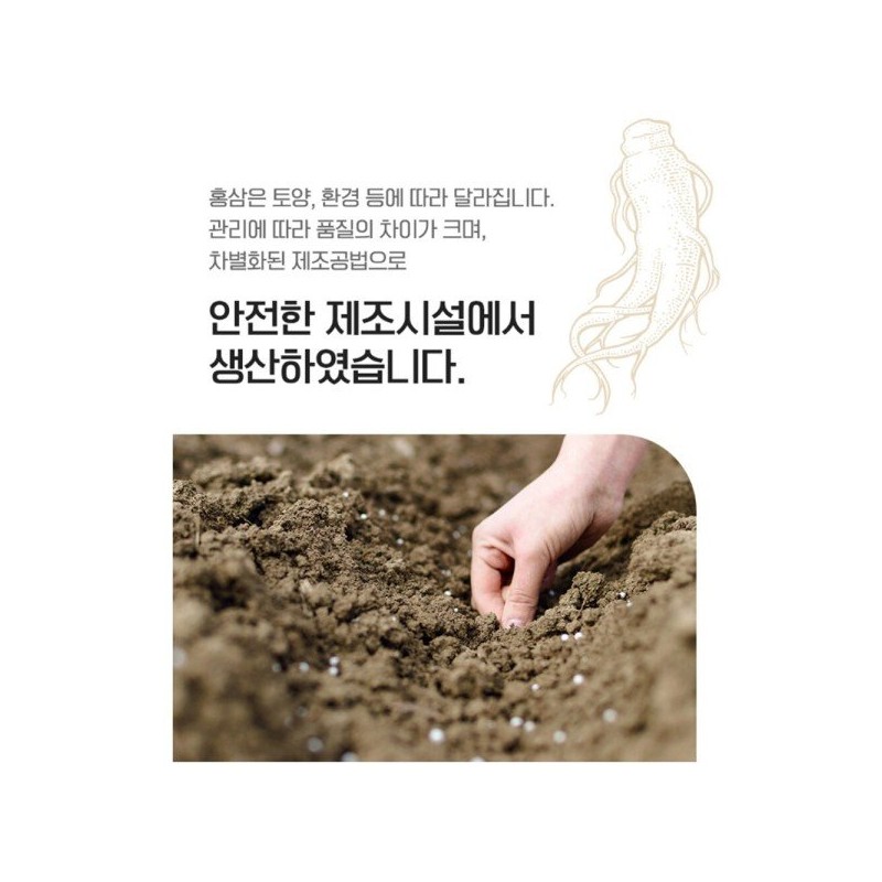 홍삼 농축액 6년근 고려 홍삼정 에브리데이 하루 홍삼스틱 50포 3박스