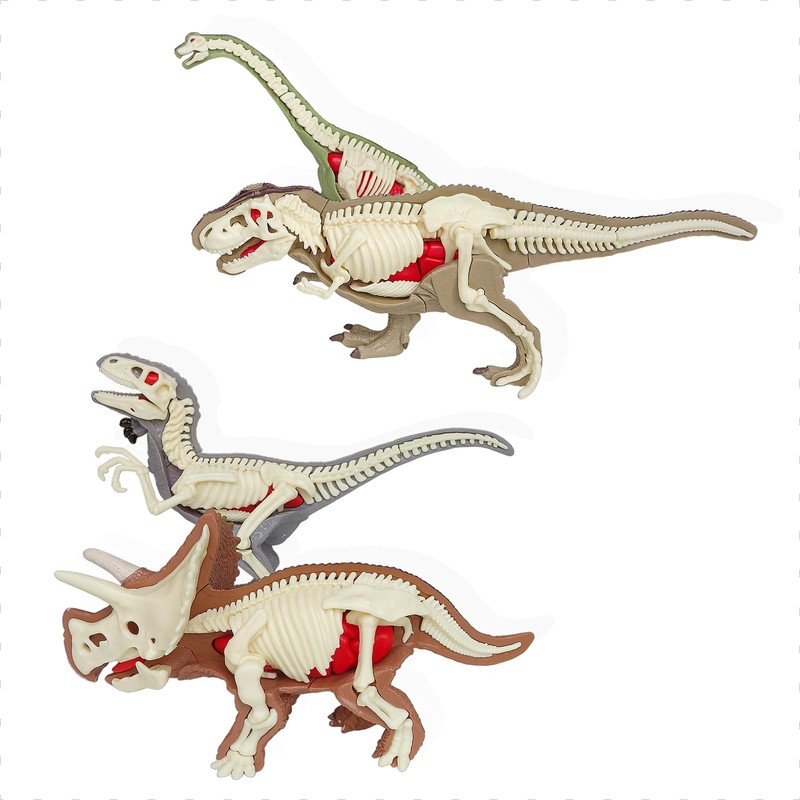 4D Vision Dinosaur Anatomy Model - Interactive Dinosaur Skeleton &