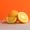 MJIYSGS 10pcs Orange Peeler Tool, Long Handle Serrated Citrus Peel