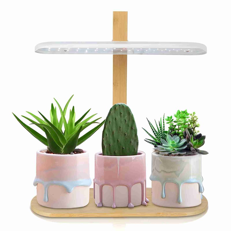 Small Tabletop Plant Light 10W 4 Brightness Adjustments Full Spectrum