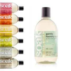 Soak Soak Laundry Soap C No Rinse, Plant Derived Hand Wash Detergent - 375 ml / 12 fl. oz, 75+ Washes (Wild Mint)