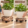 Rolling Plant Stand for Indoor and Outdoor Potted Plants –