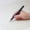 Sailor Fountain Pen, Fountain Pen, Dee Mannen, Navy Blue, Special
