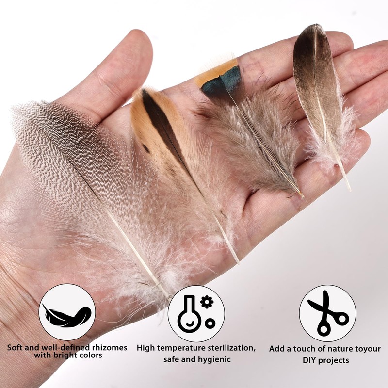 THARAHT 120pcs Natural Feathers Small 4 Styles Bulk for DIY