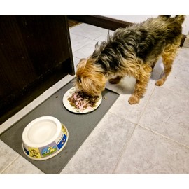 Dog and Cat Silicone Mat for Food and Water, Waterproof Pet Feeding Mats with Lip, Pet Placemats for Messy Drinkers to Protect Floor (Black)