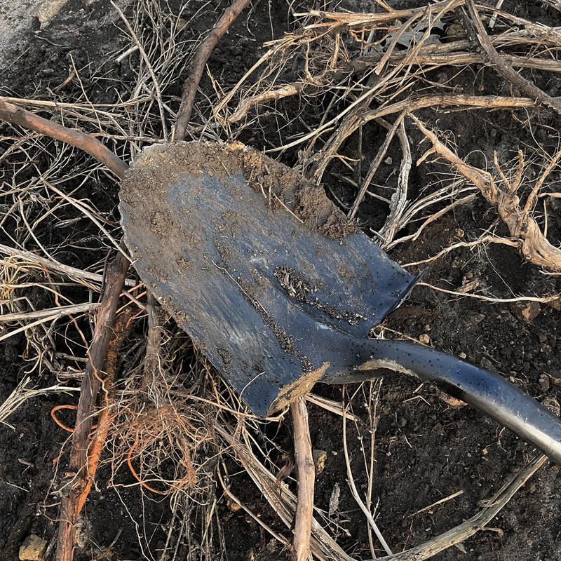 Gemplers Sawtooth Roundpoint Shovel with D-Grip, Fiberglass Handle, Durable Digging