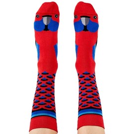 Wilson Payne Down Under Socks - Rosella, 2-8