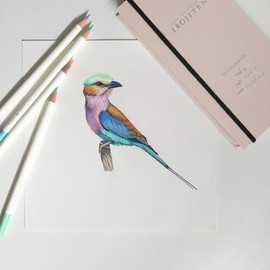 Tombow Irojiten Colouring Pencil, Cascade Colour, High-Quality Wax-Based Lead with High Colour Brilliance, Artist Colouring Pencil for Professional and Hobby Artists [CI-RVP7], Pack of 1