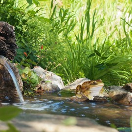 Relaxdays Frog Garden Figurine Weatherproof for Balcony, Patio, Pond Artificial Stone, Sitting Decorative Frog, Yellow, 9 x 13.5 x 15 cm