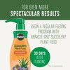 Miracle-Gro Succulent Potting Mix, For Indoor Succulents, Aloe Vera and