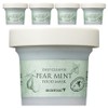 Skinfood Pear Mint Food Mask 120g, 1 pack, 5 packs / 스킨푸드 페어민트 푸드 마스크 120g, 1개입, 5개