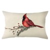 Ogiselestyle Christmas Cardinal Throw Pillow Covers, 12 x 20 Inch