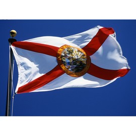 Allied Flag - 3' x 5' Outdoor Nylon Florida State Flag - Made in USA - Vivid Color and Fade Resistant - Reinforced Hem and Brass Grommets