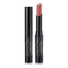 2 Labial Mate Armand Dupree Perfect Stay Tono A Elegir