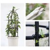 Garden Trellis for Climbing Plants Plant Support Cage, Tower Obelisk
