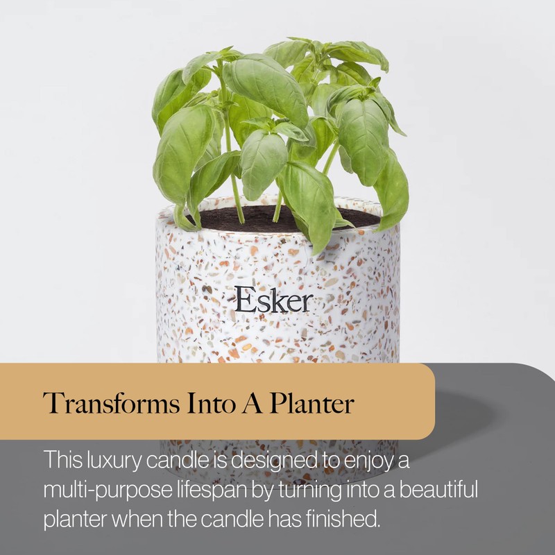 Esker Terrazzo Plantable Candle – Hand-Poured Soy Wax with Essential