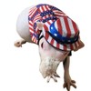 2Pcs Pet Independence Day Costume Pet 4th of July Guinea