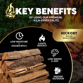 Firewood Central Kiln-Dried PA Hickory – 16” Splits (Approx. 38 lb) – Long Burn, Smoking Wood for Cooking, Grills & Fire Pits – Easy Light, Low Smoke, USA-Sourced