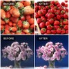 mfxmf 6 Pack LED Grow Light Bulb A19 Bulb, Full