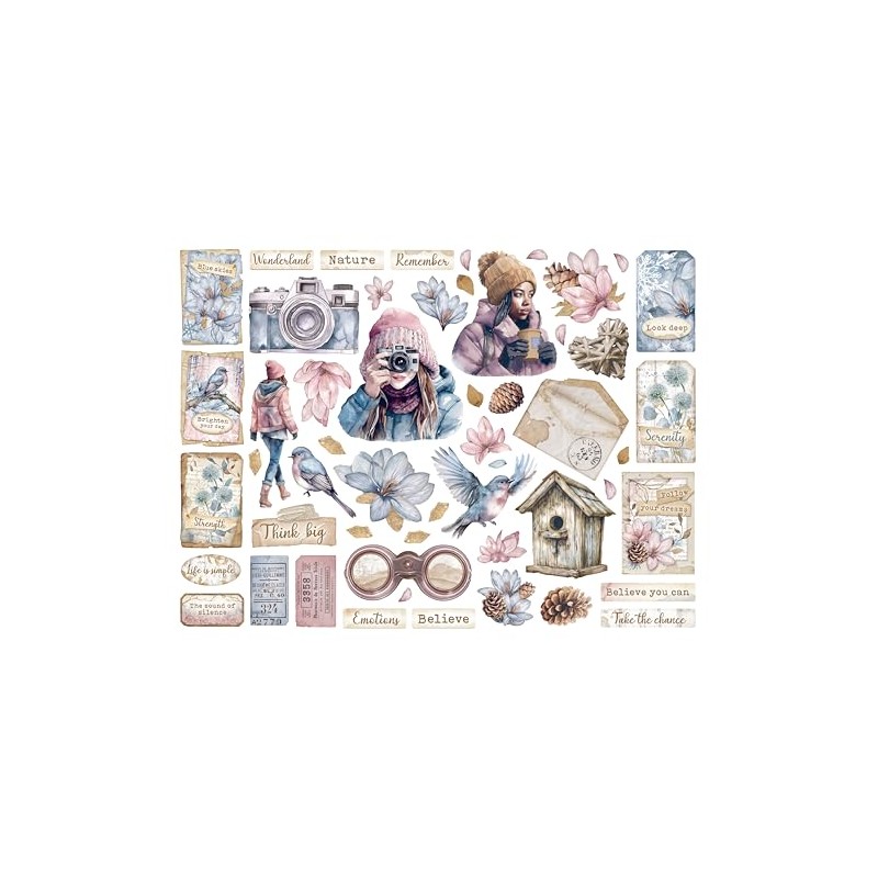 Stamperia The Cuts, Assorted, One Size