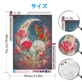SKTMH Diamond Painting Kit, Diamond Art, Valentine Decoration, Beautiful, Moon, Rose, Fully Applied Type, Home Wall Decoration, Valentine's Day, Birthday, Mother's Day, Gift, Beginner, Adult,