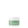 Charlotte Meentzen - Regeneration - Moisturising Cream Mask - 50