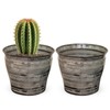 Robert Allen by Headwind - Ironstone Vanhorne Glazed Metal Planter