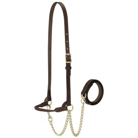 Weaver Leather Livestock Dairy Halter, Medium, Brown
