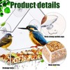 Window Bird Feeder – Clear Acrylic Bird Feeder, See-Through Design