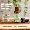ORE Aceite de Orégano Silvestre, 10ml, 80% Carvacrol, Suplemento Aceite