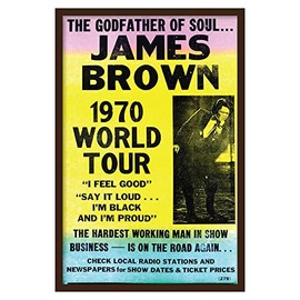 Fresh Prints of CT Showprint Concert Poster James Brown - 1970 World Tour