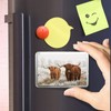 Highland Cow Classic Fridge Magnet - Cattle Scotland Fluffy Bull