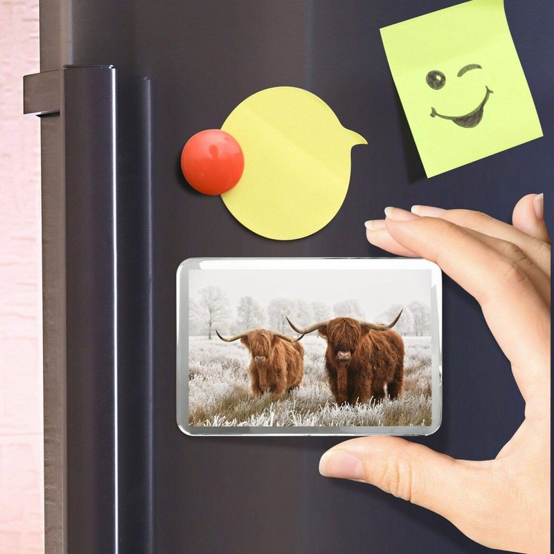 Highland Cow Classic Fridge Magnet - Cattle Scotland Fluffy Bull